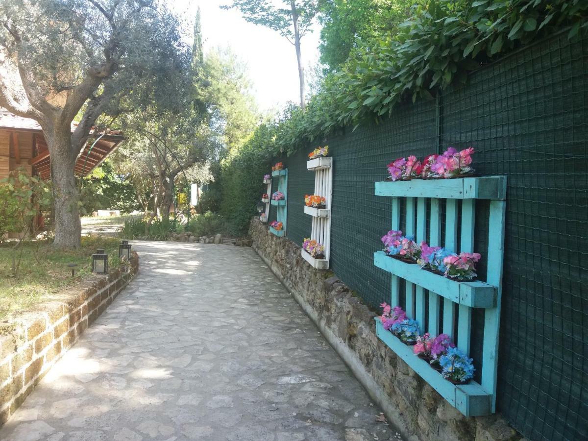 B&B Land & Sea Campofilone Exterior photo